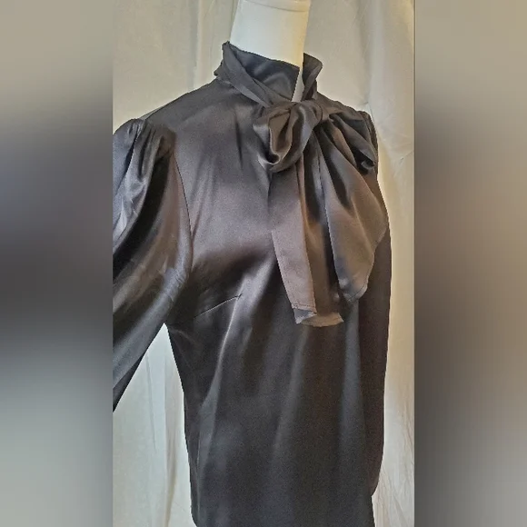 Victorian Blouse from Ichabod Sleepy Hallow Collection - Picture 3 of 10